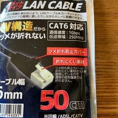 LAN CABLE５０センチの画像