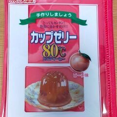 かんてんぱぱ  ナイロンポーチ