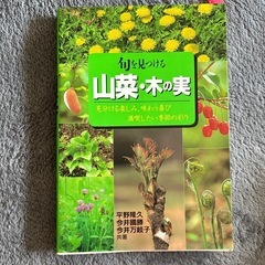 山菜・木の実
