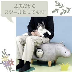 アニマルソファ 猫隠れ家の画像