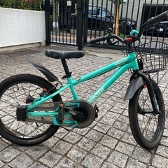 アイデスIDES子供用自転車　d-bike Master プラス...