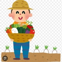 野菜収穫、体験