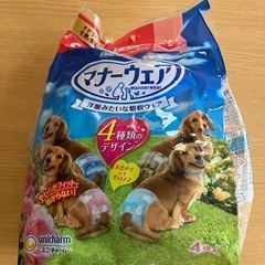 マナーウェアSサイズ子犬用
