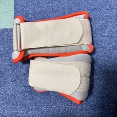 アンクル (1.5kg) × 2個