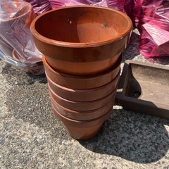 植木鉢、鉢植え