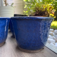 20%OFF‼︎
青が美しい【植木鉢】5号 15鉢 の画像