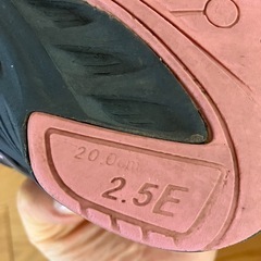 子供用スニーカー　瞬足　20.0センチの画像