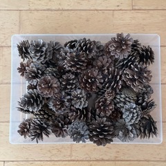 まつぼっくり　クリスマスリースなどに　　　大小59個