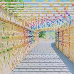 日中にやりとりできませんか|•,,)ﾁﾗｯ