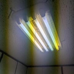 照明 電気 キッチン リビング 無料の画像