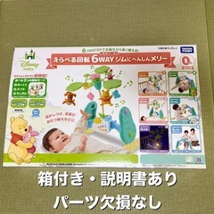 【箱付】プーメリー