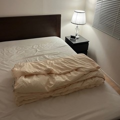 安眠工場 夏用羽毛布団 ダブル 羽毛量400g 日本製の画像