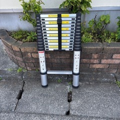 ハシゴ