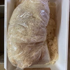 竹の削り節