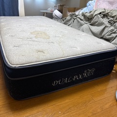 スプリング　の画像