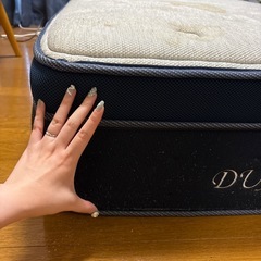 スプリング　の画像