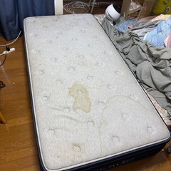 スプリング　