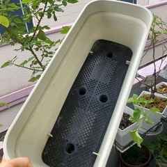 プラスチック鉢