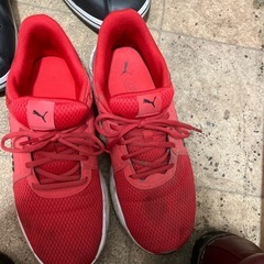 プーマ26.5