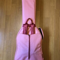 RITTER RGB4-E FRO / 超美品エレキギター用ケースの画像