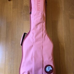RITTER RGB4-E FRO / 超美品エレキギター用ケース