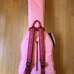 RITTER RGB4-E FRO / 超美品エレキギター用ケースの画像