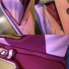 RITTER RGB4-E FRO / 超美品エレキギター用ケースの画像