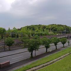 一緒に散歩をしましょう！
