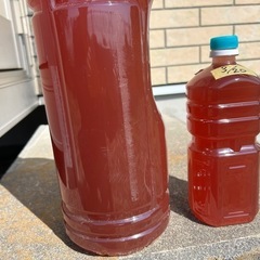 濃縮PSB光合成細菌500ml〜20ℓ以上の画像