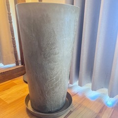鉢

