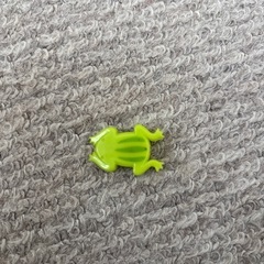 カエルクリップ★辻堂まで！