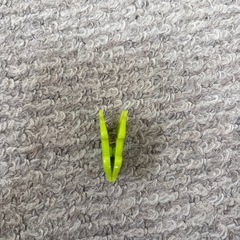カエルクリップ★辻堂まで！の画像