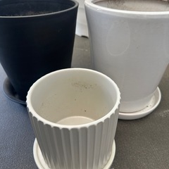 植木鉢の画像