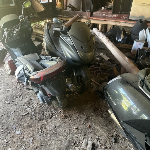 ビックスクーター