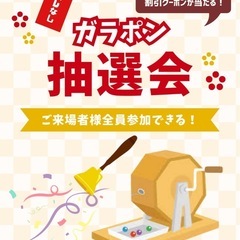 【6月1日(日)】話題のキッチンカー集合！BIJOGI BASEプチプチマルシェ⭐︎ - さいたま市