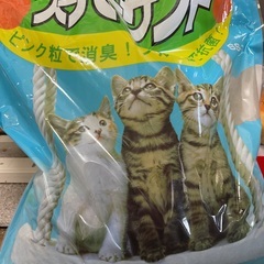 猫砂譲ります