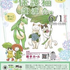 触れ合い😸抱っこOK保護猫譲渡会😸