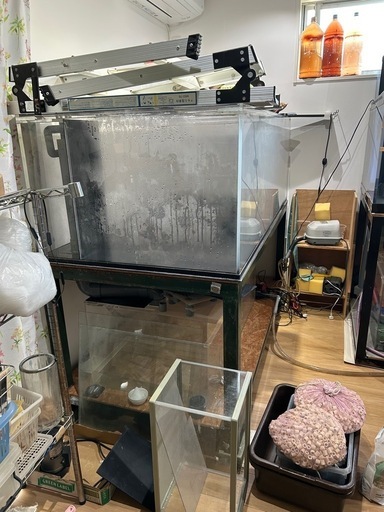 大型水槽1800オーバーフロー250000 大型水槽1800オーバーフロー250000