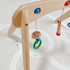 本日まで出品　セレクタ社　ムジーナ　ベビージムの画像