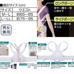 I650 🌈 未使用品！ alphax お医者さんのがっちり背すじベルト  ⭐ の画像