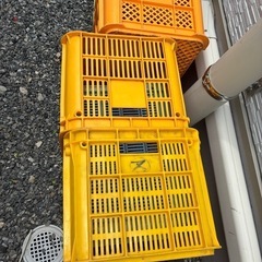 残り9個　　農業用コンテナの画像
