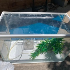 水槽セット