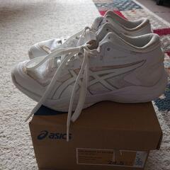 ASICS バスケットボールシューズ 4E ワイドサイズ 24.5cm