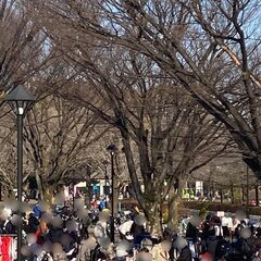 ☆７月２７日（日）「光が丘公園フリーマーケット」開催☆