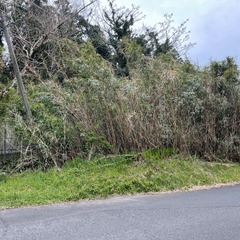 №J614【鹿児島県鹿屋市永野田町・川西町・大姶良町】山林・原野...