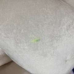【値下げしました】円形 こたつテーブルセット✩.*˚の画像