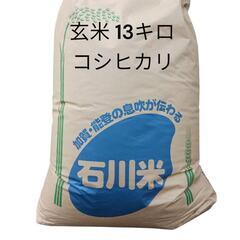 玄米 石川県産 コシヒカリ 単一米 米