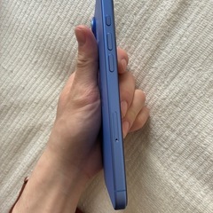 iPhone16plus 256GB SIMフリー　Appleの画像