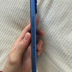 iPhone16plus 256GB SIMフリー　Appleの画像