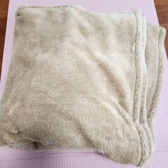 シングル　毛布